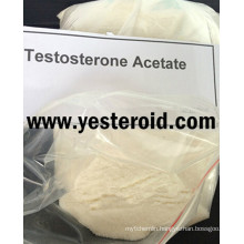 Bodybuilding Supplements Raw Steroid Testosterone Acetate for Muscle Mass